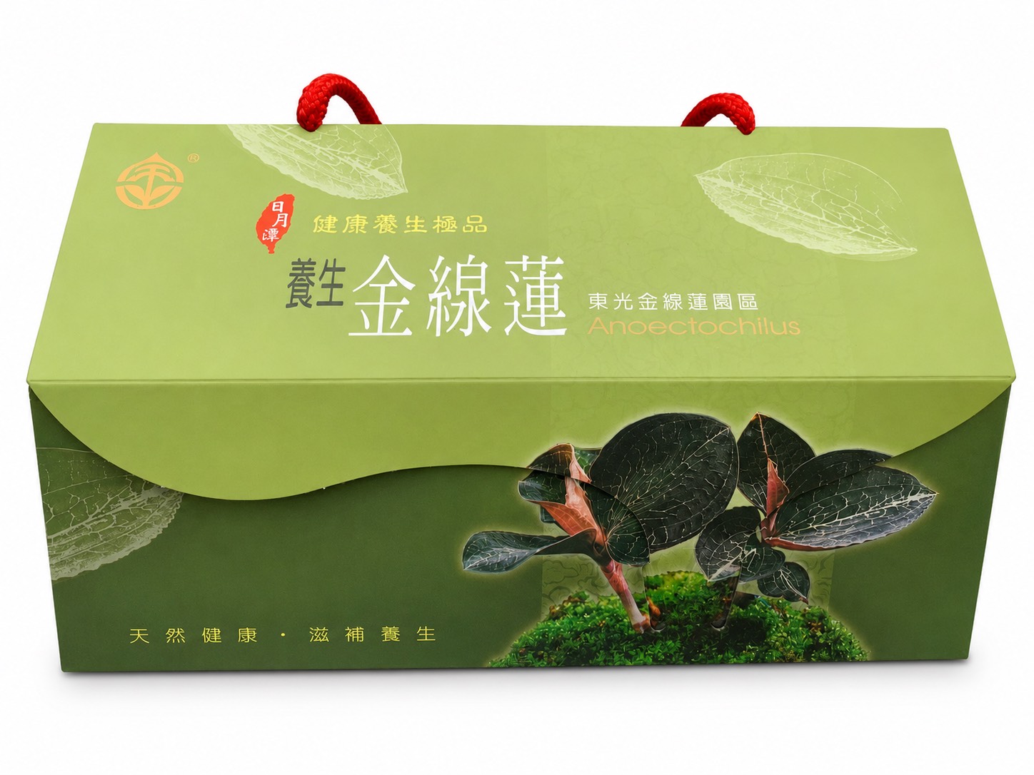 金線蓮茶包